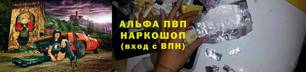 индика Белокуриха